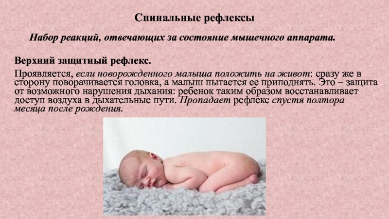 Когда можно выкладывать ребенка. Укладываем новорожденного на живот. Рефлексы новорожденного на животе. Защитный рефлекс новорожденного. Выкладывать на животик новорожденного.