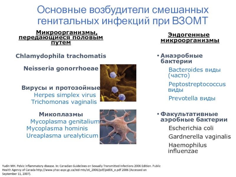 Лечение протозойных инфекций