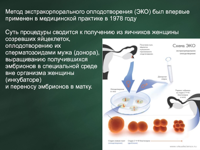 Искусственная инсеминация: реальные истории и советы от опытных пар