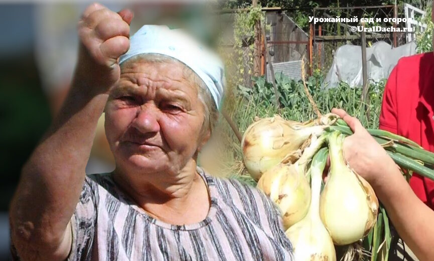 Как баба Лена славно потрудилась в огороде: Секреты урожайного сада