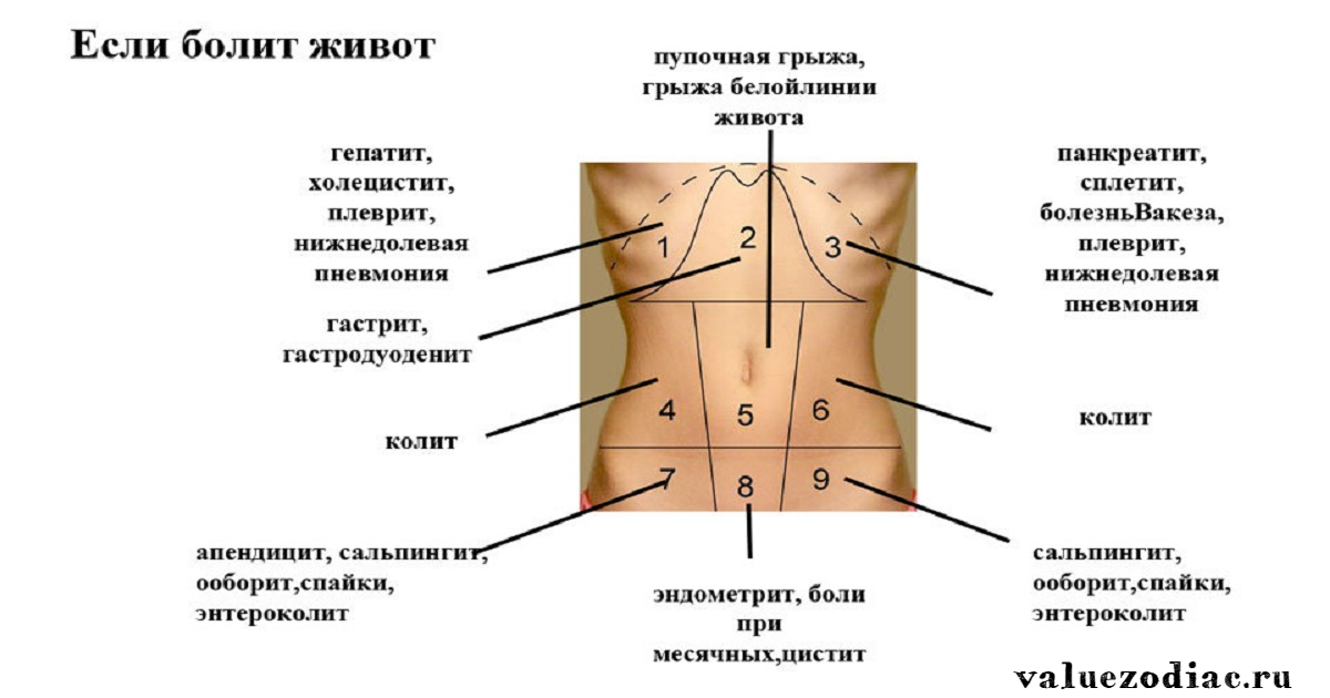 Болит снизу слева живота