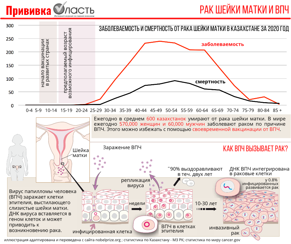 Нормы впч у женщин. Статистика зараженных ВПЧ. ВПЧ высокого риска у женщин. ДНК ВПЧ. ВПЧ У женщин статистика.