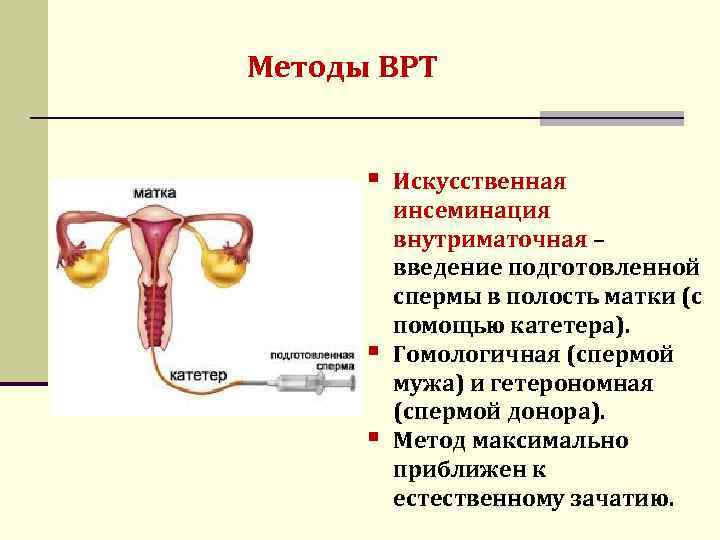 Искусственная инсеминация: реальные истории и советы от опытных пар