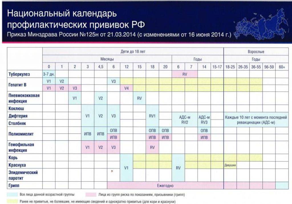 В национальный календарь прививок войдут. Национальный календарь прививок РФ таблица. Календарь прививок для детей в России 2021 национальный календарь. Вакцинация детей календарь прививок в России 2020. Национальный календарь прививок 2022 для детей Россия.