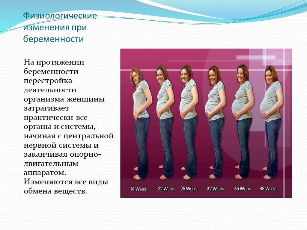 Как изменяется тело во время триместров беременности: Путешествие в мир будущих мам