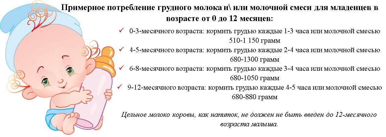 До скольки лет грудное вскармливание: Любовь и питание для малыша