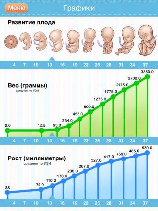 Вес ребенка по неделям беременности. Беременность календарь развития. График развития плода. Рост эмбриона по неделям беременности. Рост плода по неделям.