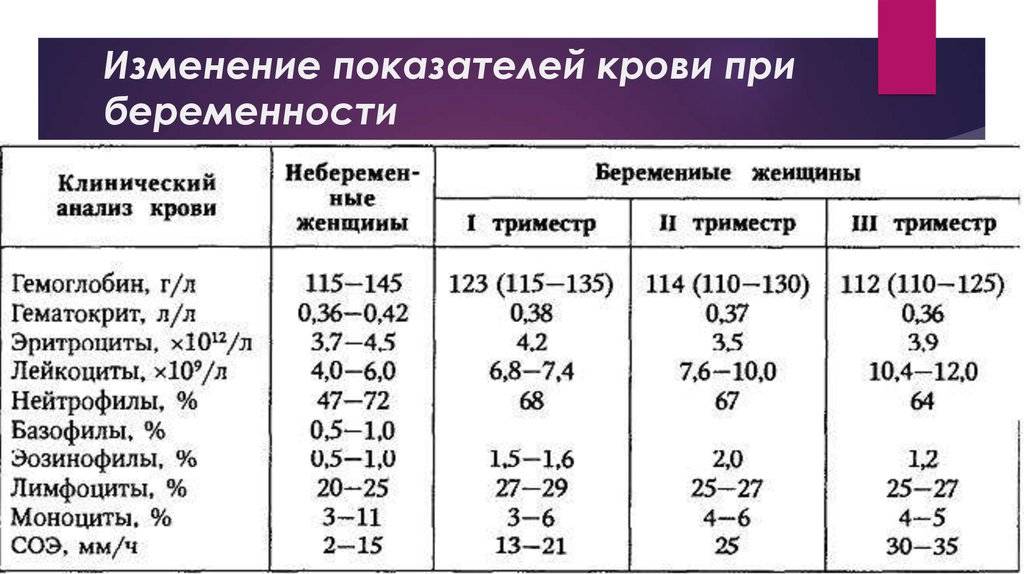 Беременность и капелька крови: как правильно распознать волнующие изменения