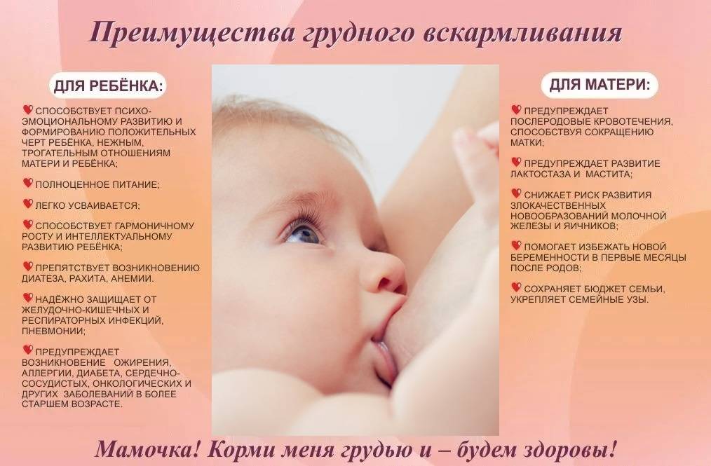 Как понять, хватает ли новорожденному грудного молока: Секреты успешного грудного вскармливания