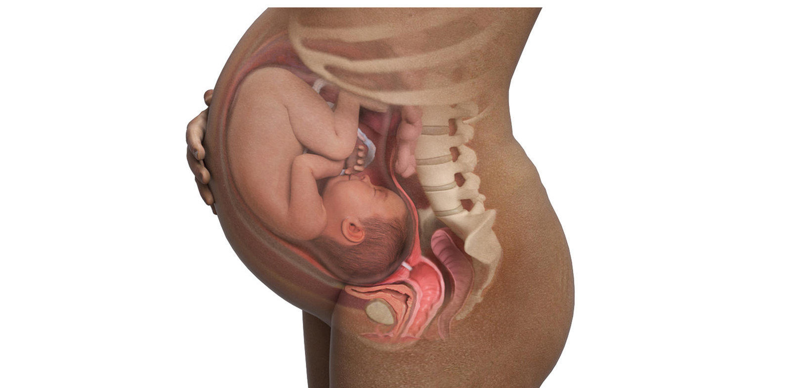 Как изменяется тело во время триместров беременности: Путешествие в мир будущих мам