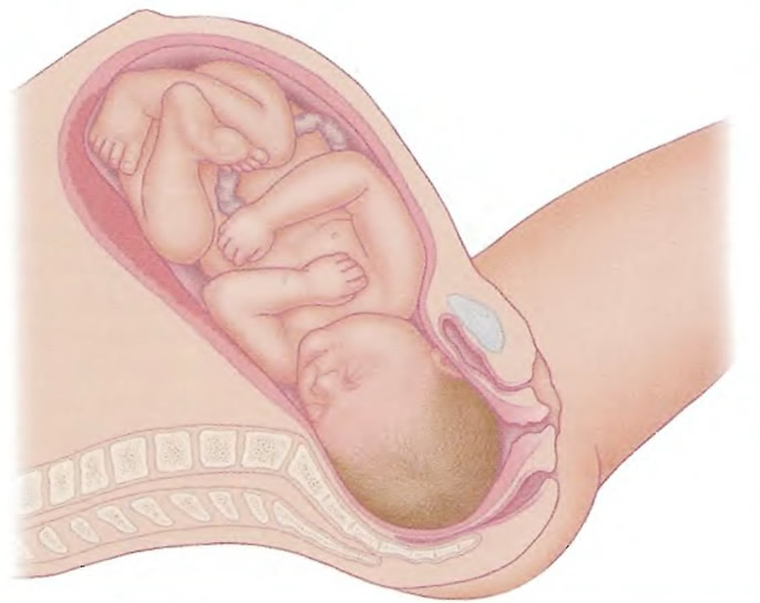 Беременность 39 недель без предвестников: Что делать будущей маме