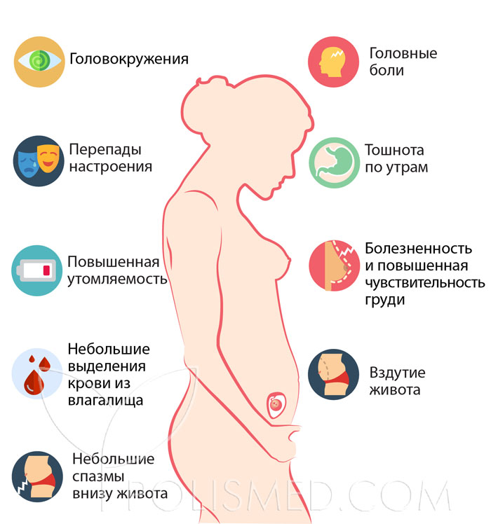 Признаки 4 беременности на ранних сроках