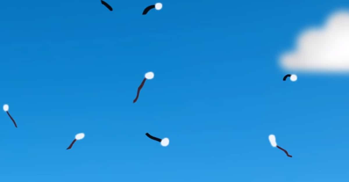 Плавающая черная точка в глазу что это. Деструкция стекловидного тела (плавающие «мушки»). Мушки перед глазами. Мушки летающие. Летающие мушки в глазах.