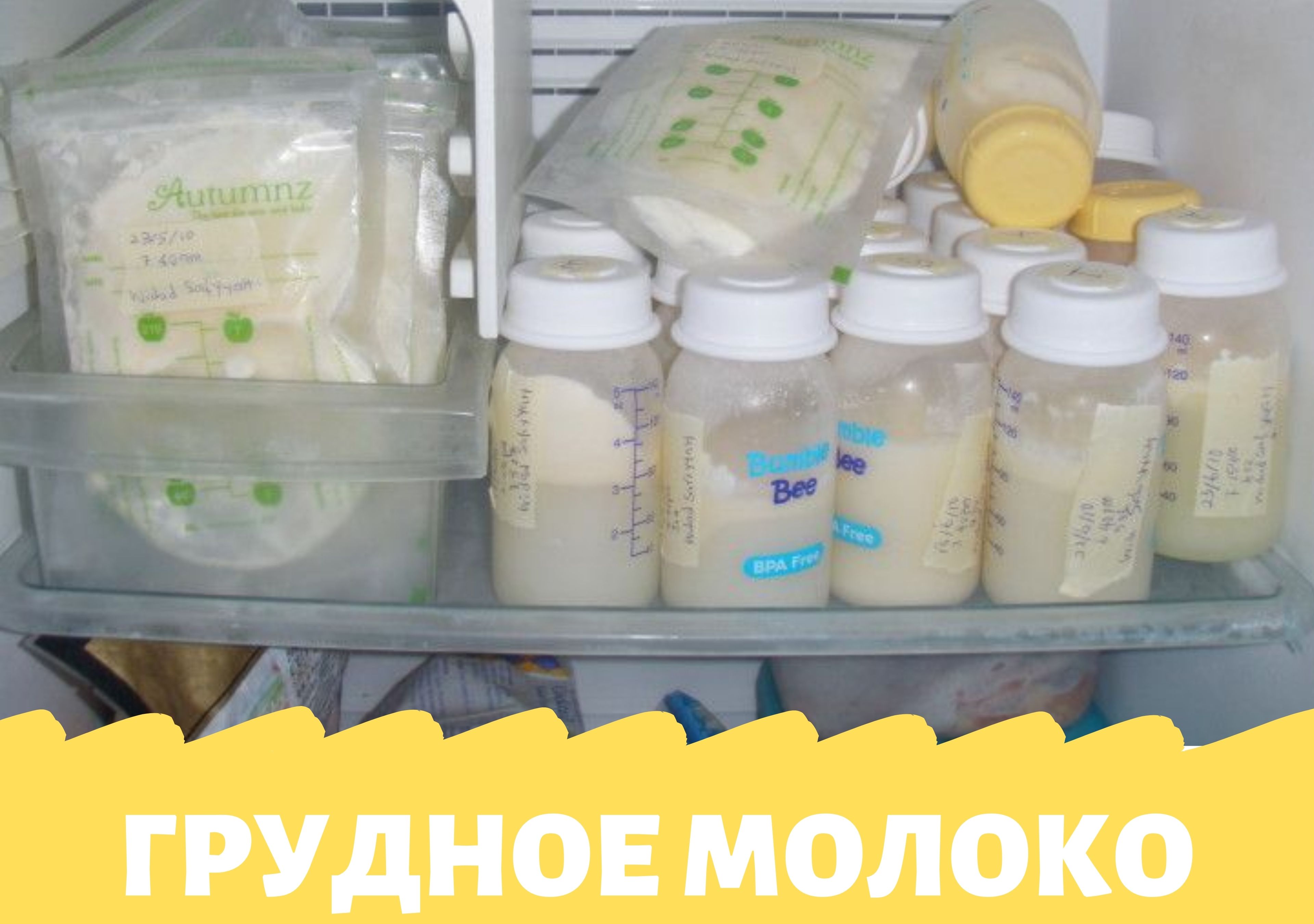 Как долго можно хранить грудное молоко в холодильнике: Секреты правильного хранения