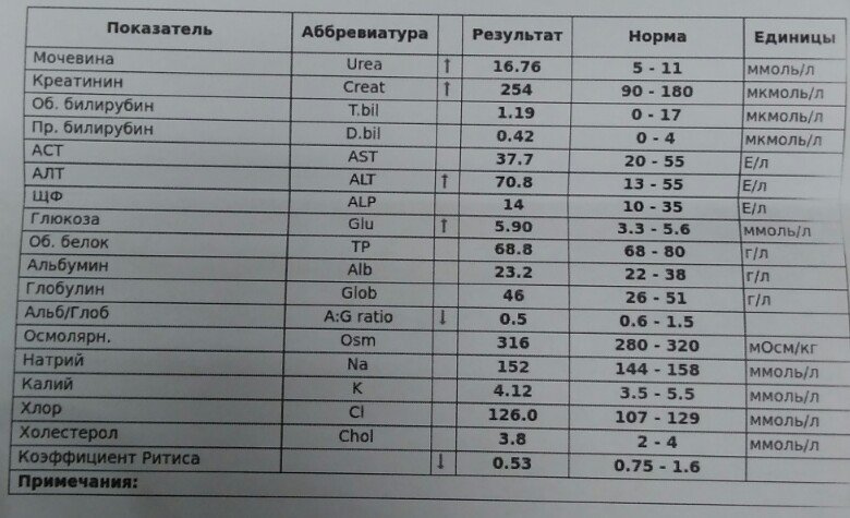 Салат в крови повышены